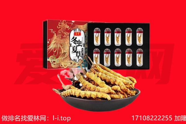 德宏州回收虫草.jpg